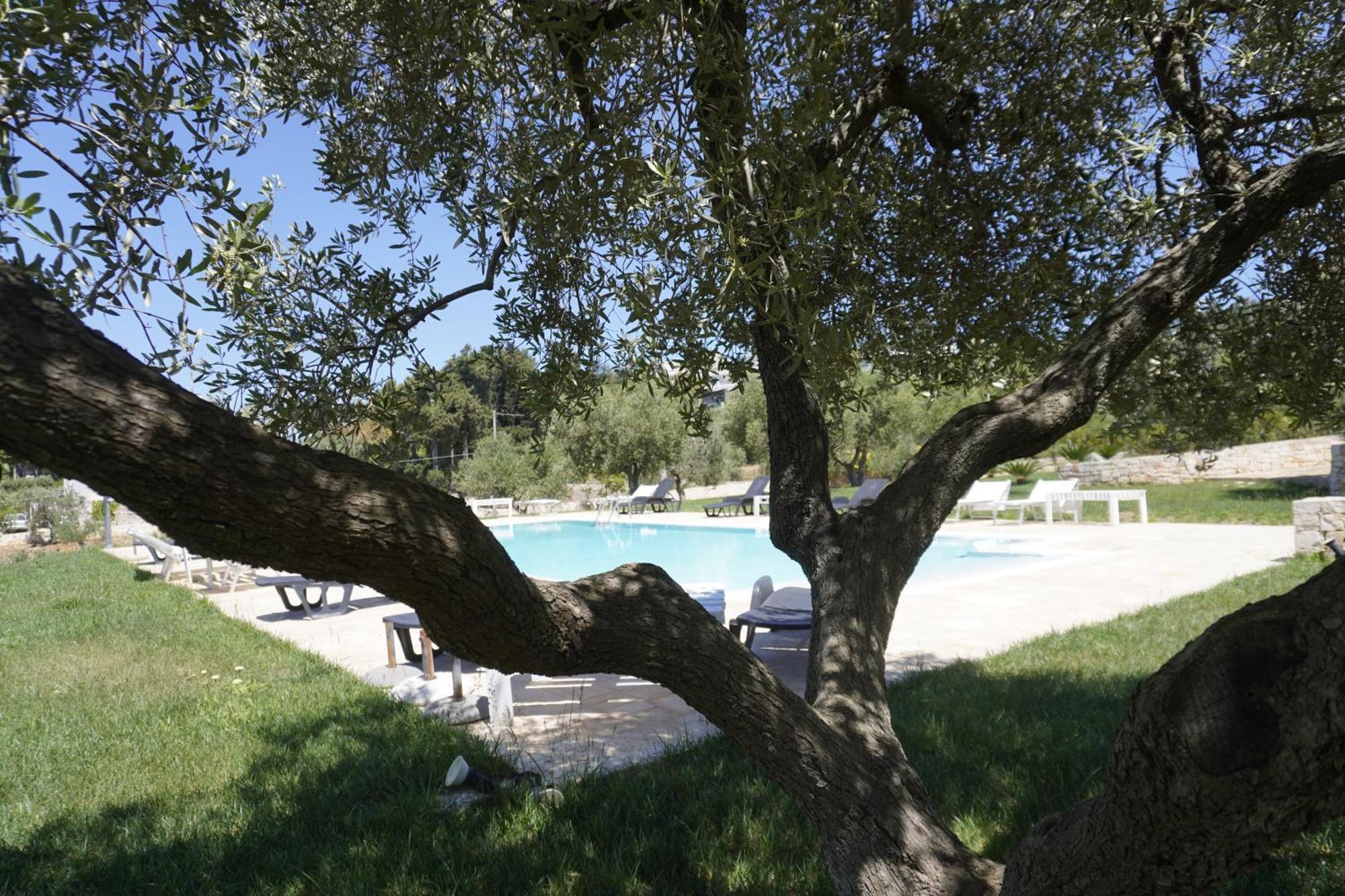 Trullo Amico Villa Cisternino Eksteriør billede